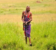 Masai Warrior, Masai Mara