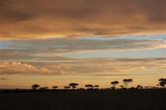 Serengeti-dusk