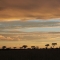 Serengeti-dusk