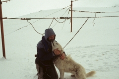 THE LAST SLED DOG IN THE ANT ARCTIC