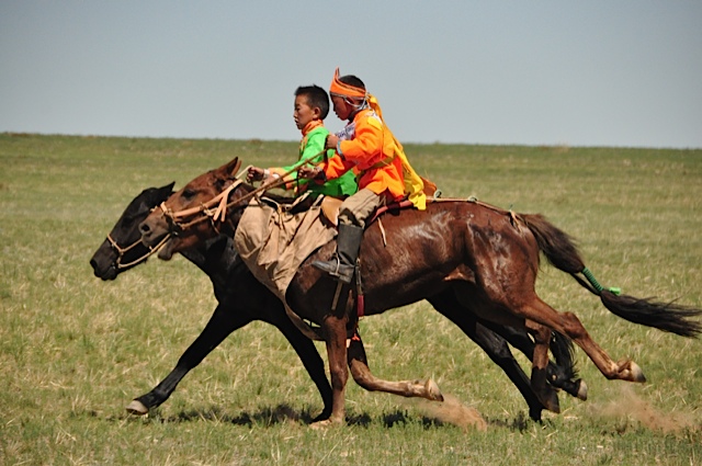 Gobi horse race