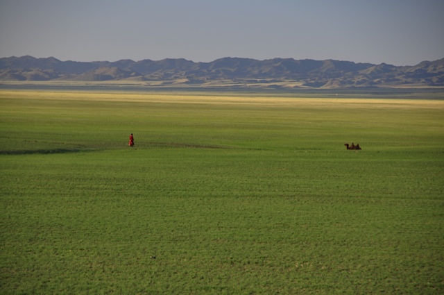 vast. Gobi Desert