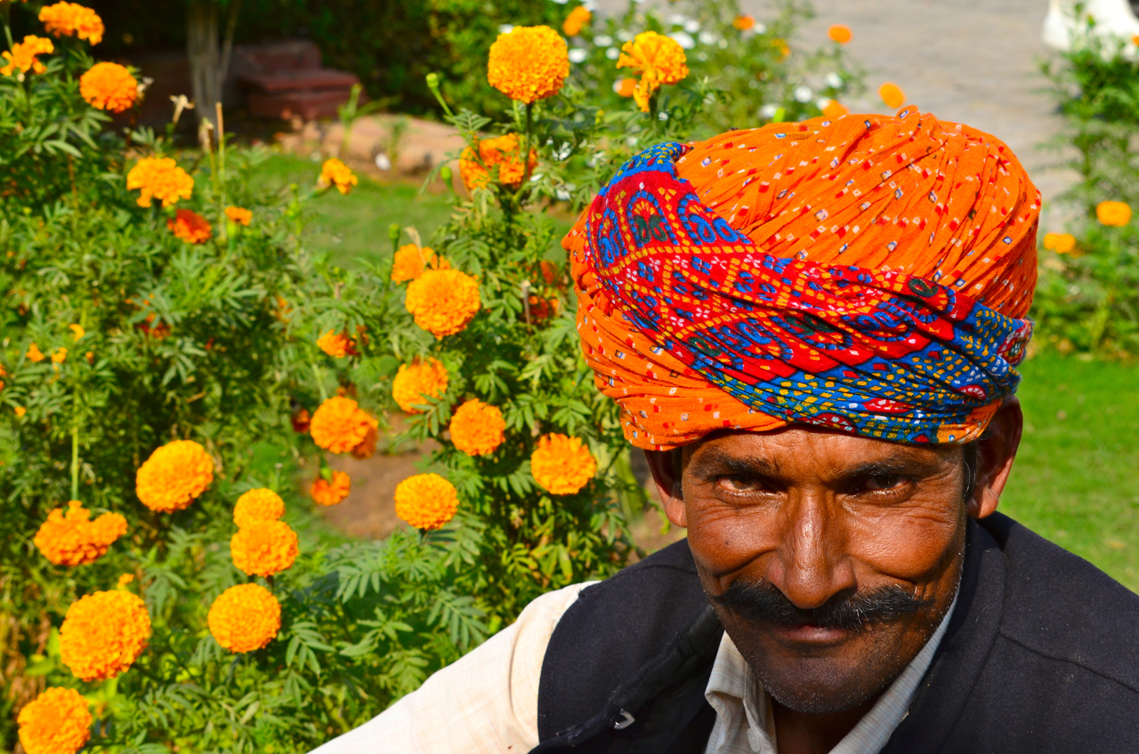 Marigolds, Agra, India
