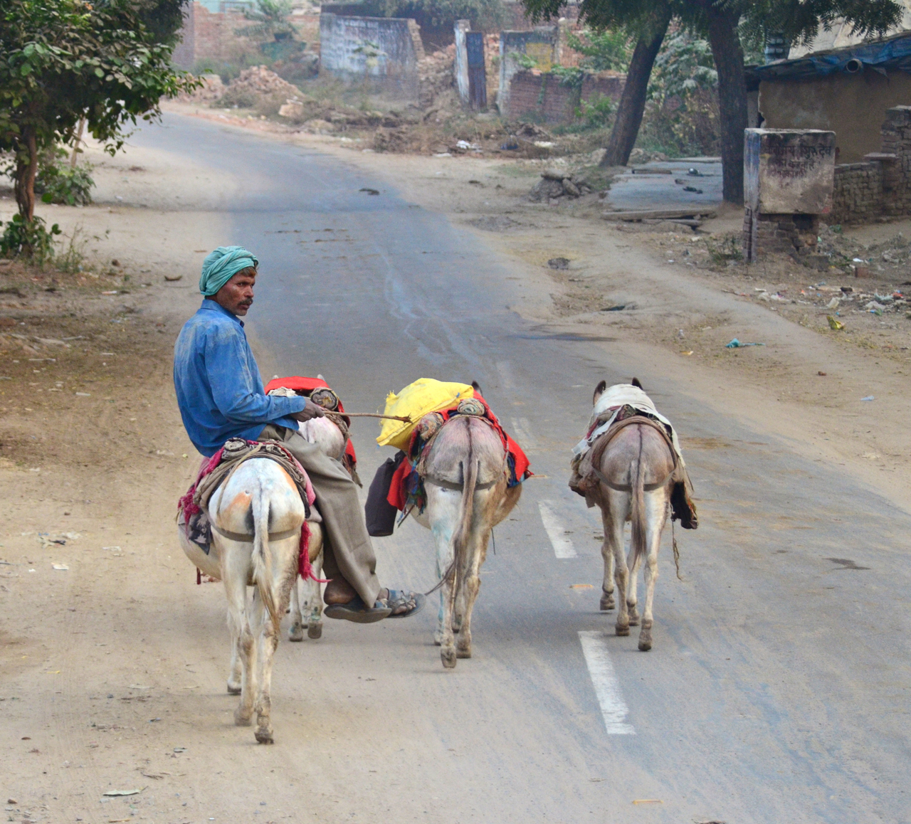 mule-driver-delhi