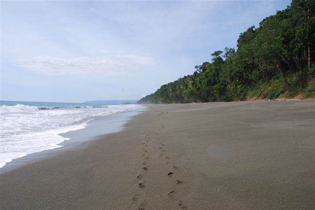 footsteps, Bosque Del Cabo, Costa Rica