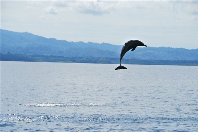 showing-off-costa-rica