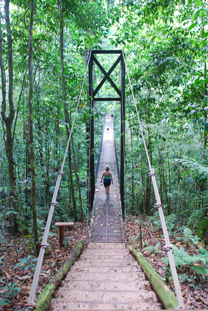 rain forest bridge, Bosque Del Cabo, Costa Rica