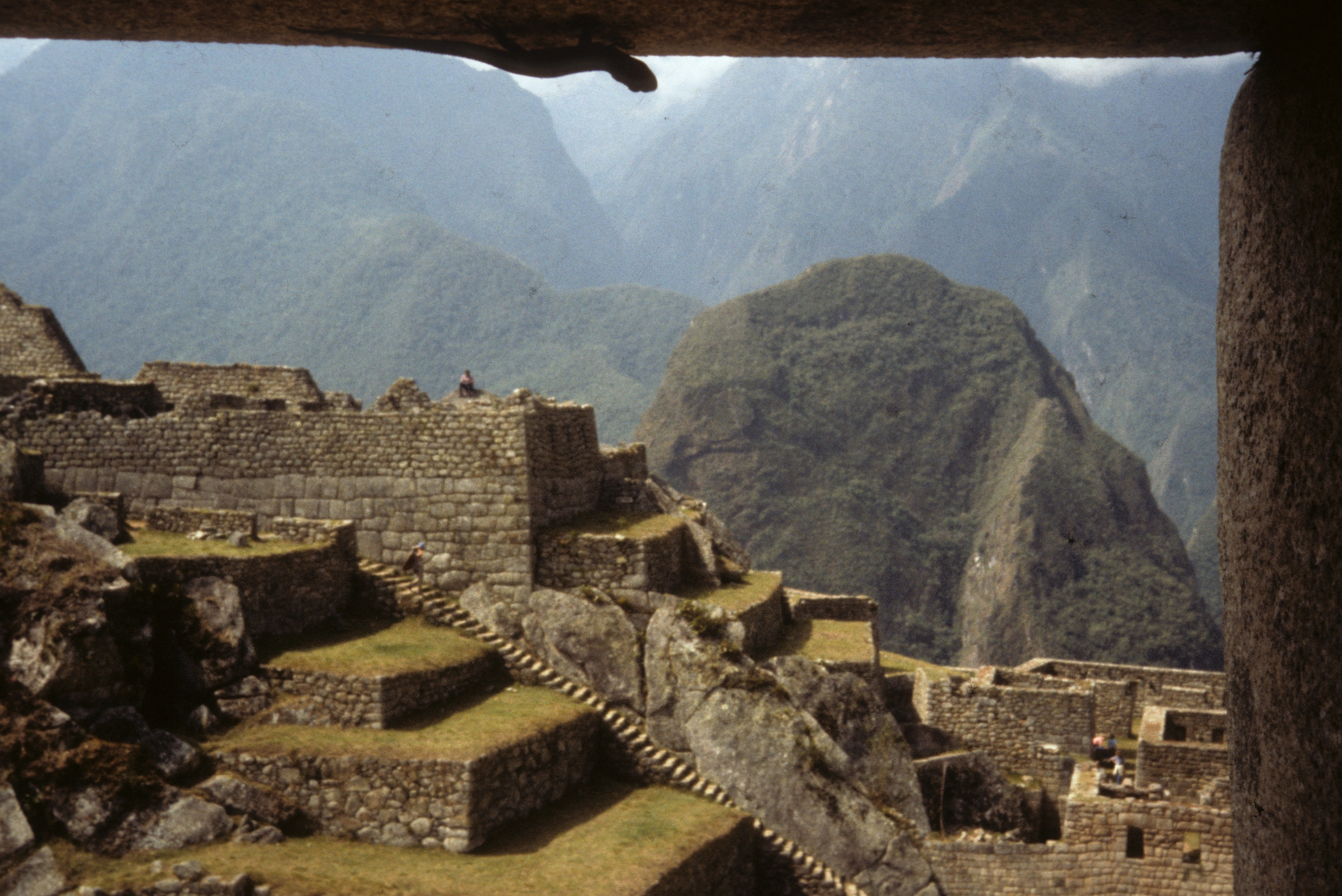 Machu Picchu (see the lizzard?)